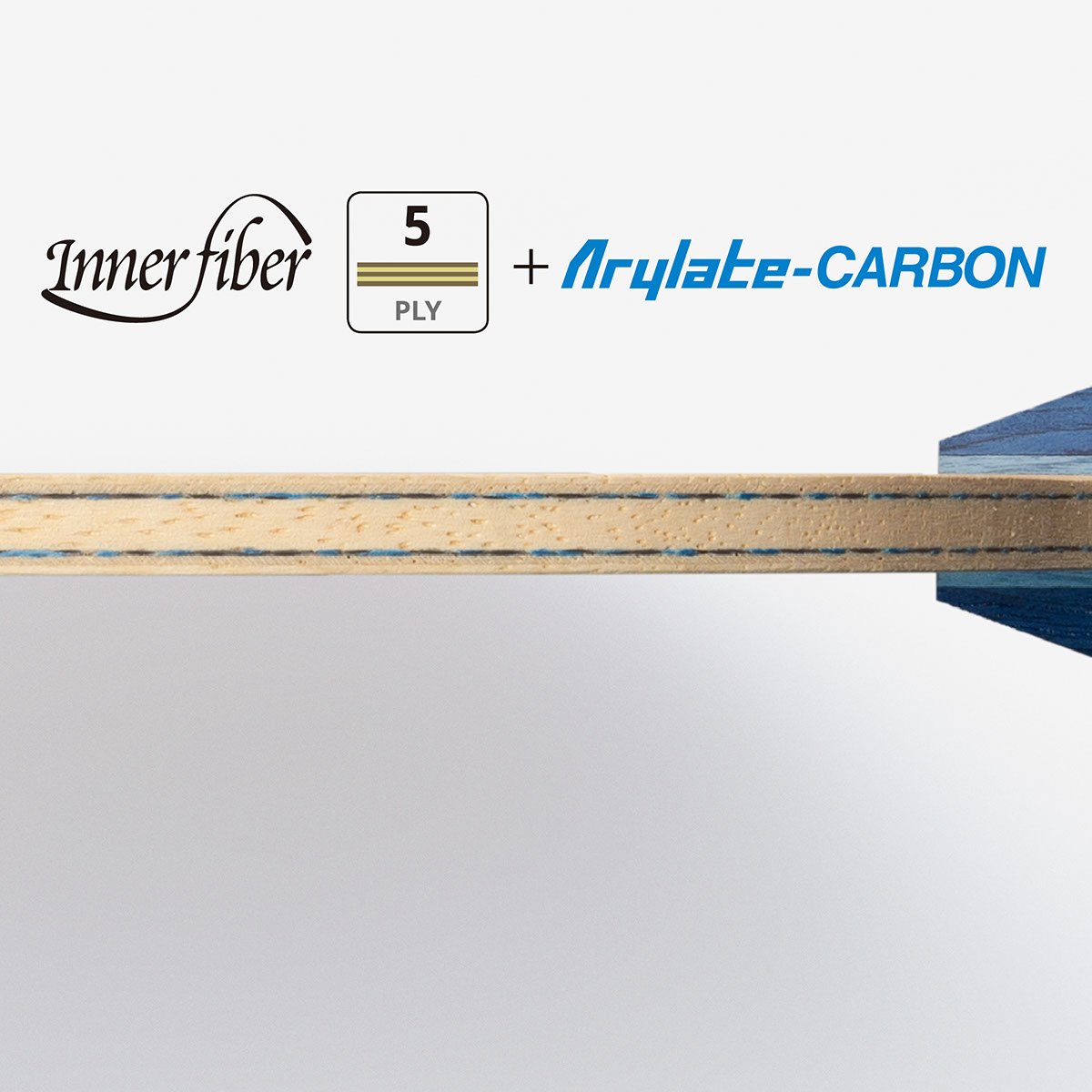 蝴蝶 INNERFORCE LAYER ALC - CS