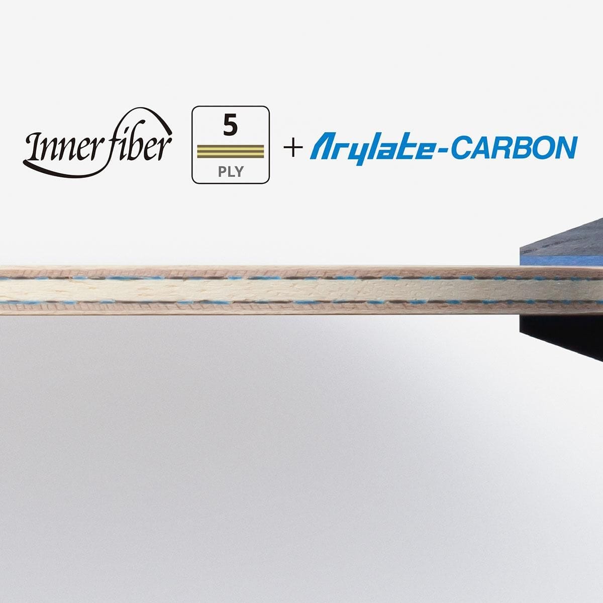 蝴蝶 INNERFORCE LAYER ALC.S - CS
