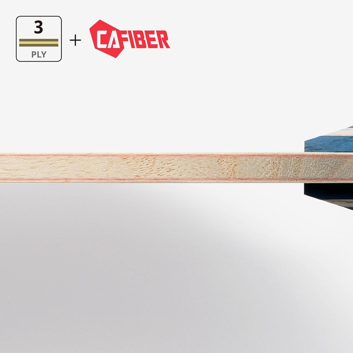 蝴蝶 TIMO BOLL CAF - CS