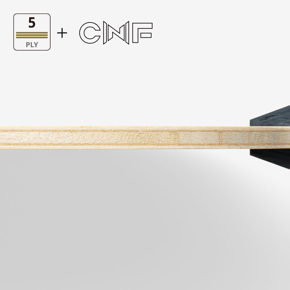蝴蝶 樊振东 CNF - CS