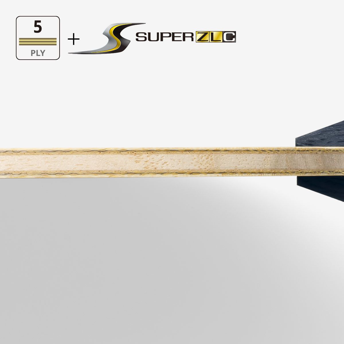 蝴蝶 樊振东 SUPER ZLC - CS