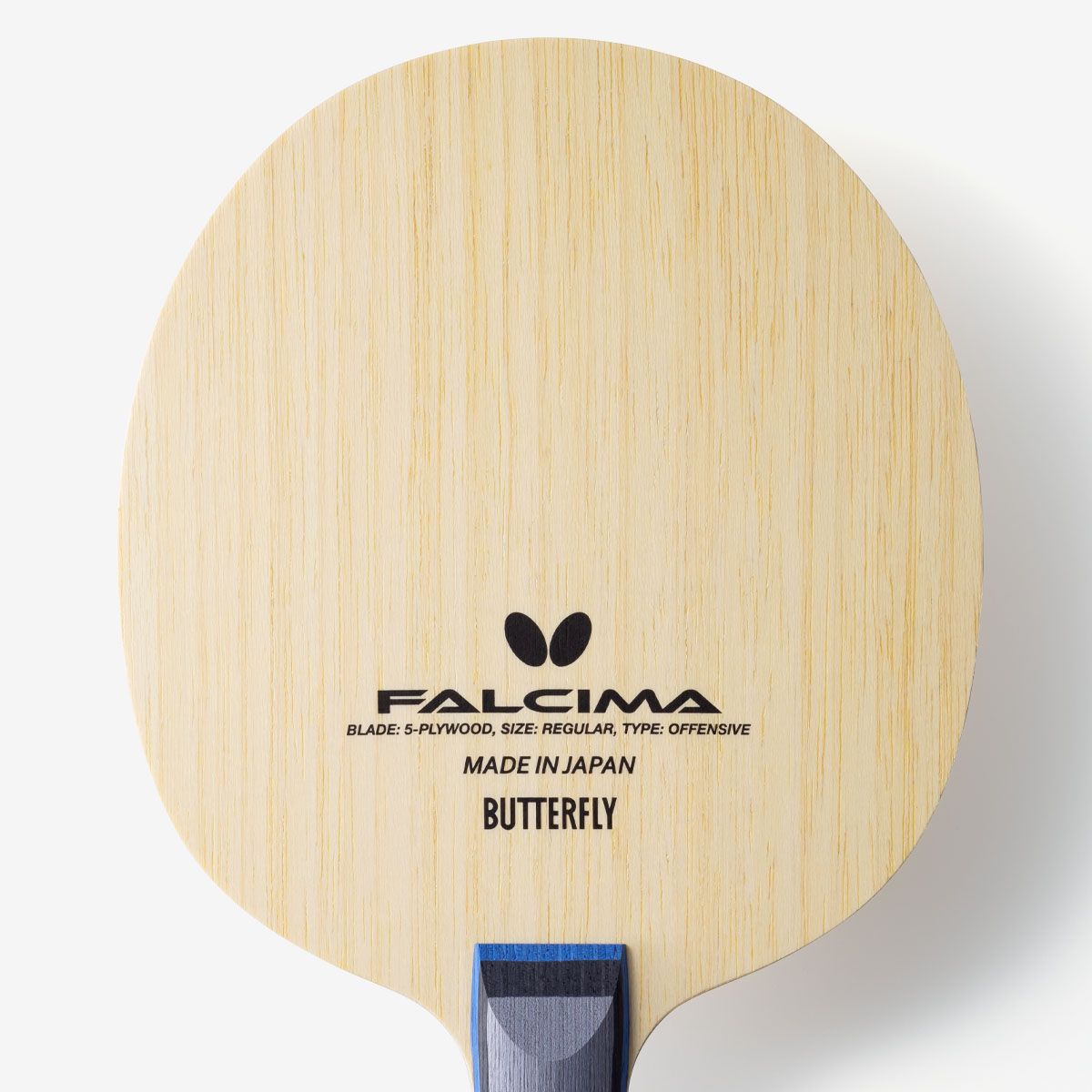 蝴蝶 FALCIMA